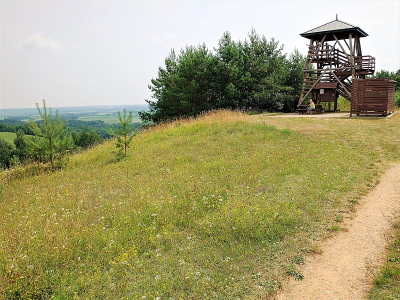 A grass and the wooden observation tower in the Rowelska Mountain